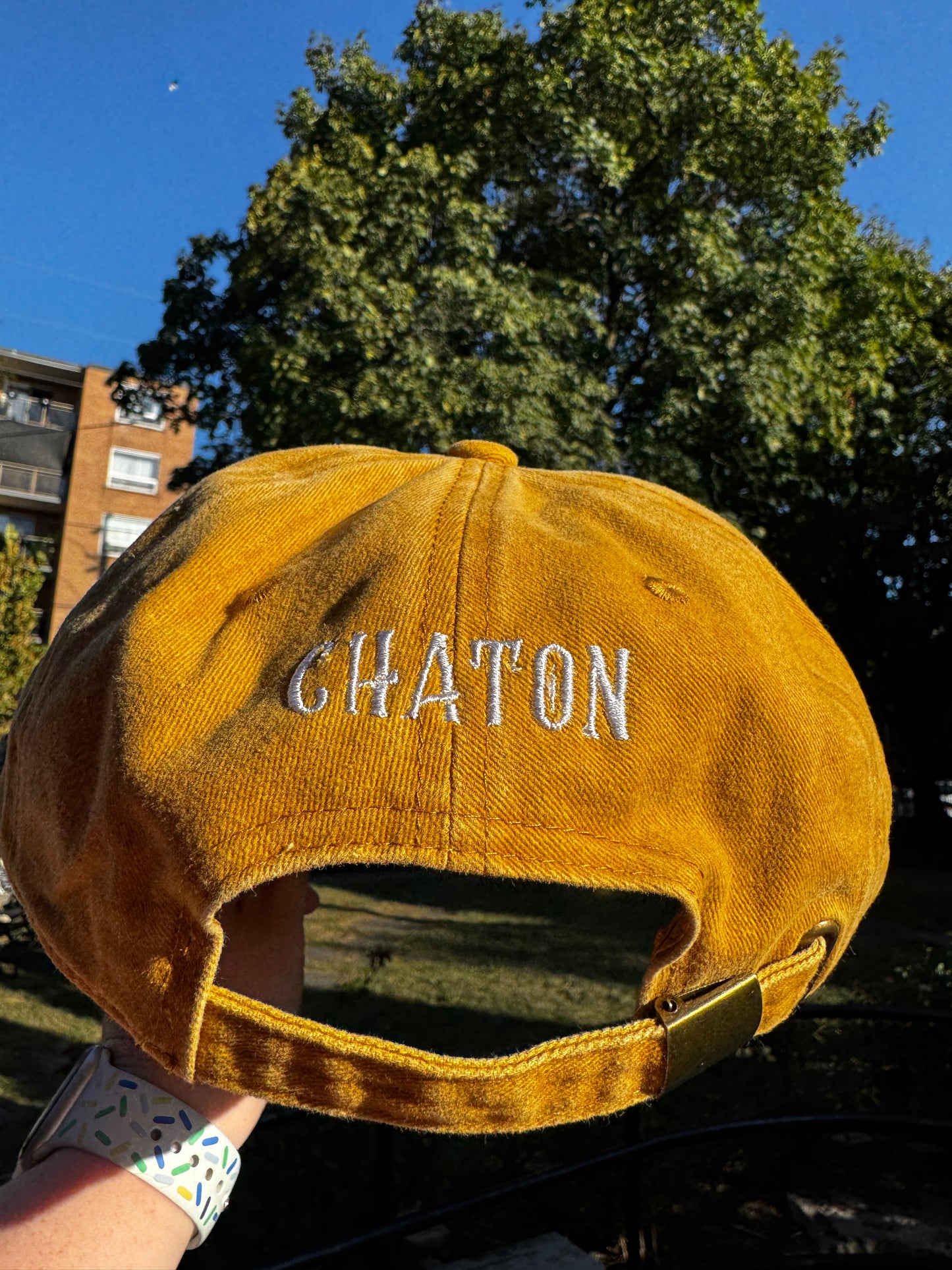 Butter Dad Cap